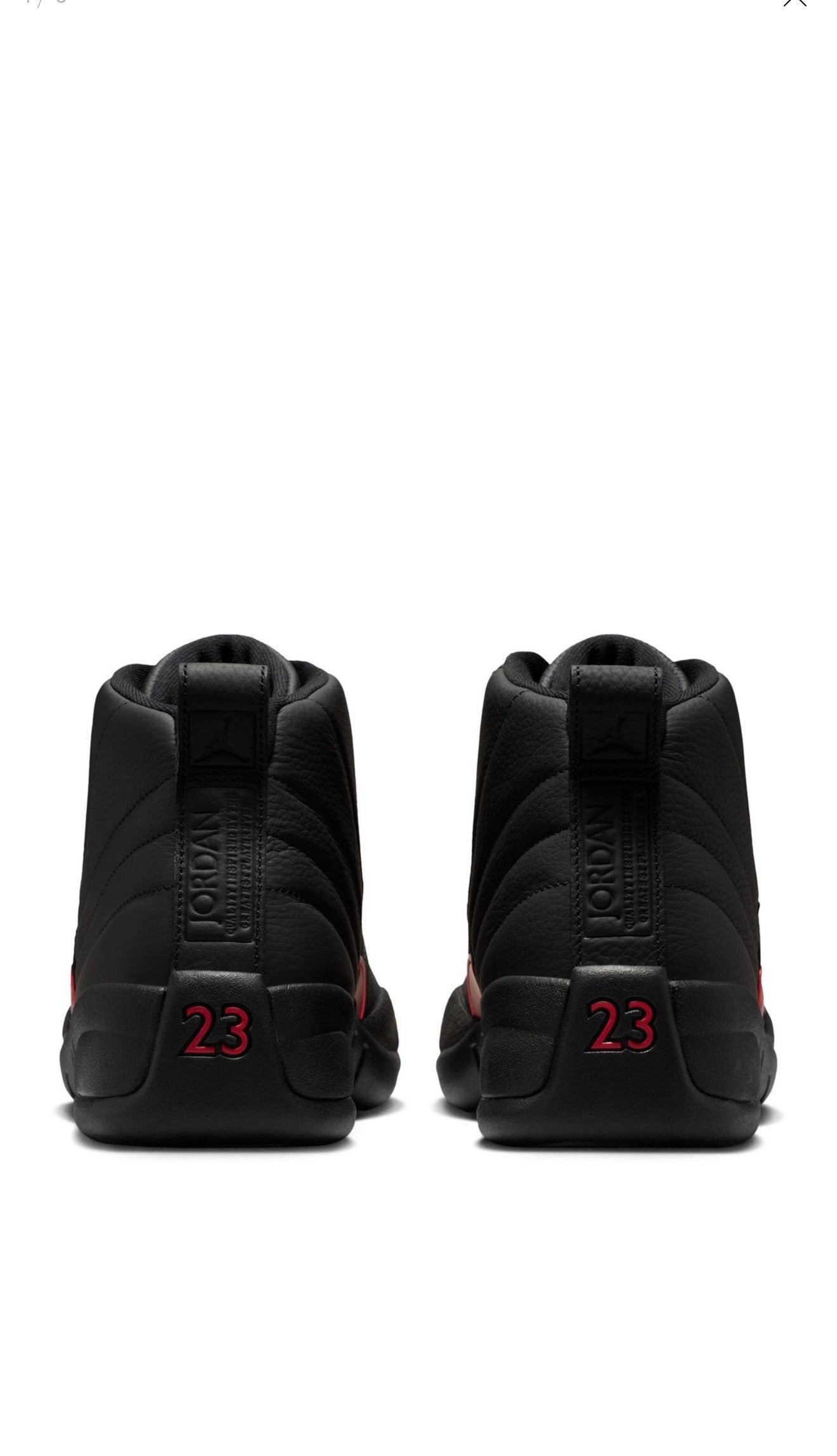 Air Jordan 12 Retro 'Bloodline' (CT8013-003)